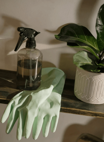 A spray bottle and rubber gloves