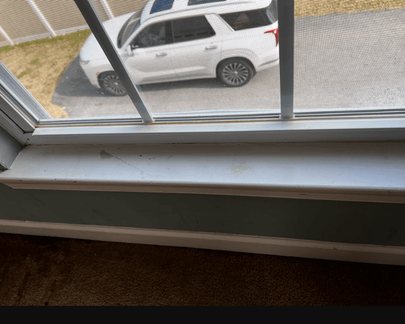 A house cleaned after a Christmas party.